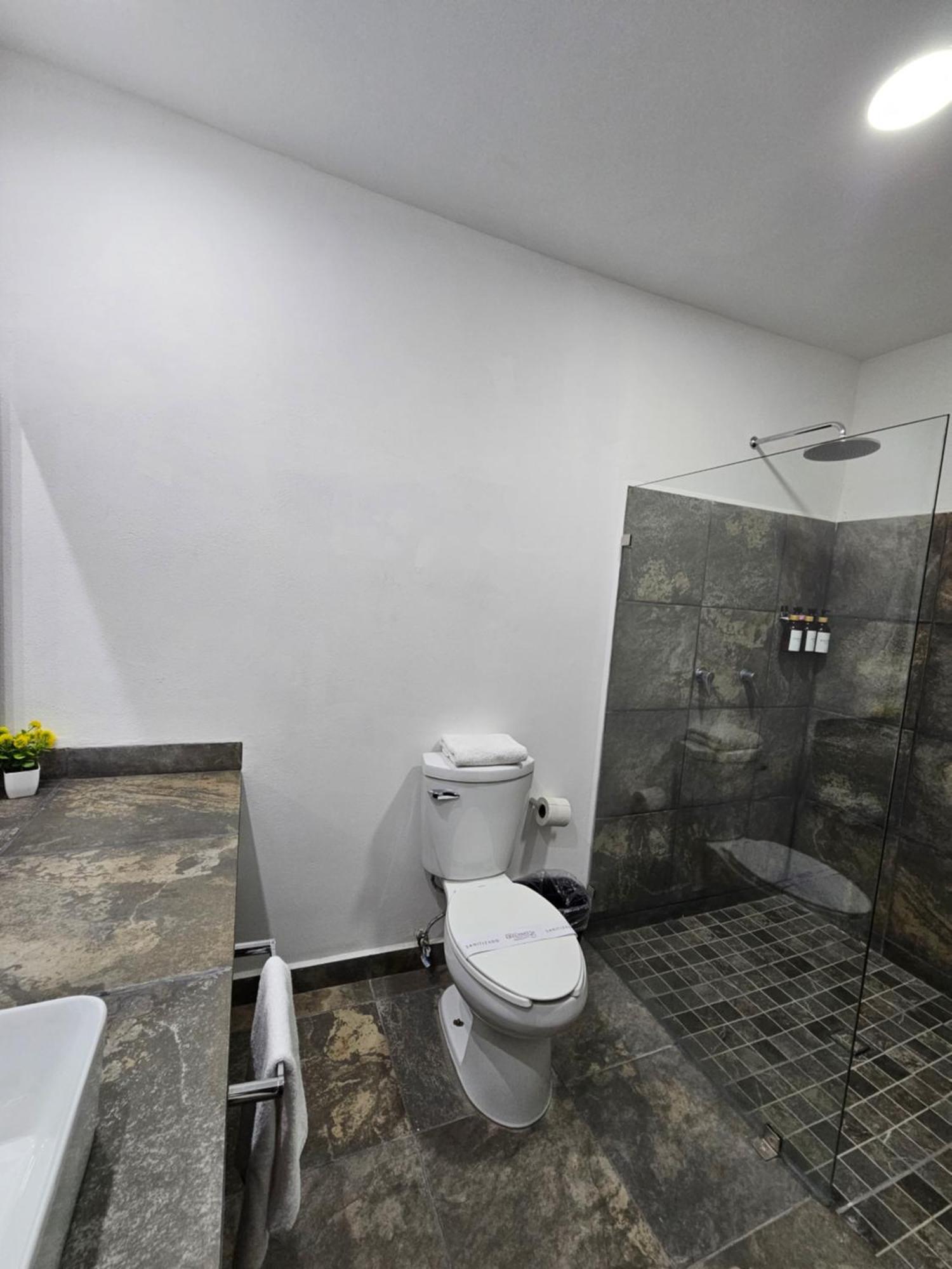 Hotel Ejecutivo Aeropuerto Alvaro Obregon Eksteriør billede